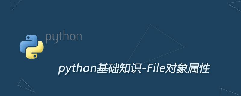 Python.jpg