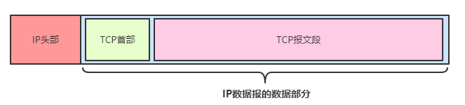 TCP协议