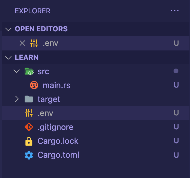 EXPLORER 
v OPEN EDITORS 
x .env 
v LEARN 
v src 
@ main.rs 
target 
h! env 
.gitignore 
Cargo.lock 
Cargo.toml 