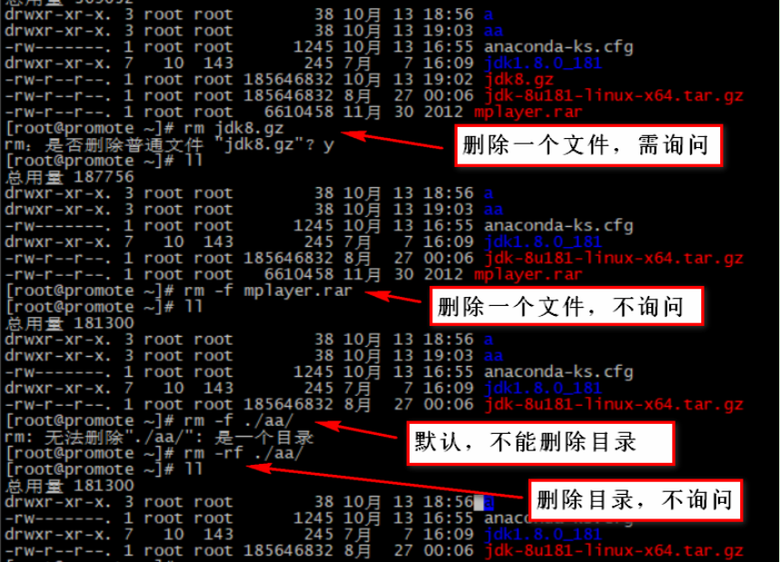 rm操作