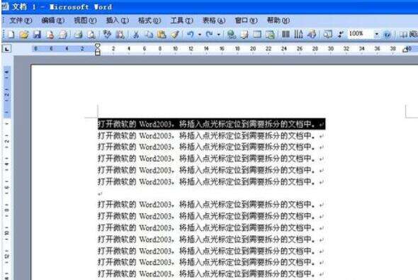 word2003拆分窗口的操作步骤截图