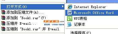 怎样把excel转化成word格式的文档?