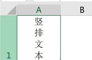 Excel2016怎么设置文字竖排